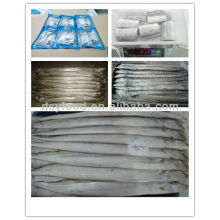 Frozen ribbonfish